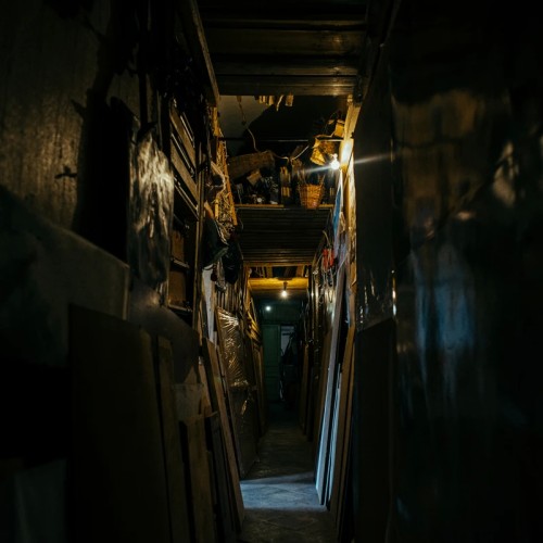 По закоулкам Петроградки — в гости к художникам