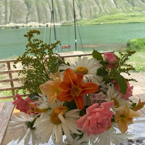 Индивидуально по Чечне и Дагестану: 2 республики за выходные