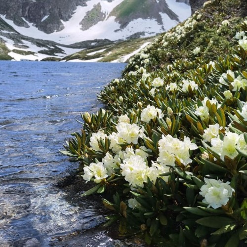 Край разноцветных озёр: треккинг налегке в Архызе с проживанием в палатках
