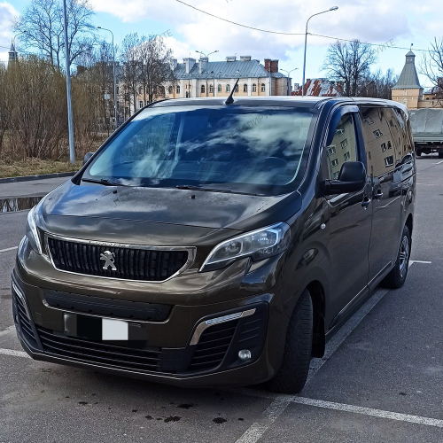 Трансфер из Пулково и экскурсия по must-see-местам Петербурга