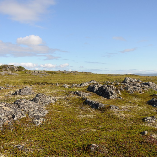 Сокровища Северного Ледовитого океана: полуостров Рыбачий, Териберка, Мурманск и саамская деревня