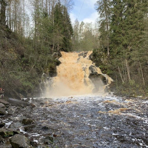 Карельский Клондайк и водопад Белые мосты