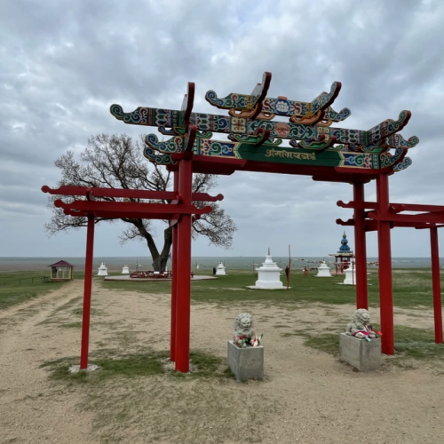 Цветущие тюльпаны и буддийские святыни: из Волгограда в Элисту