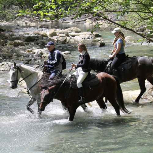 На лошадях по предгорьям Сочи: прогулки для новичков и опытных всадников