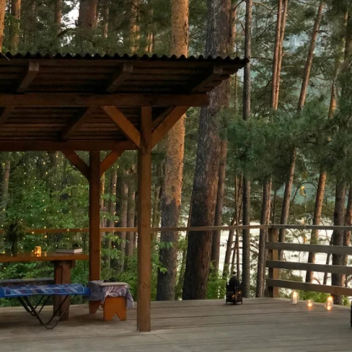 Возрождающая сила Алтая: ретрит-тур в женской компании