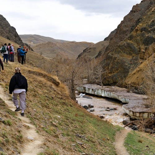 Майские на Алтае в сезон цветения маральника с ежедневными прогулками (всё включено)