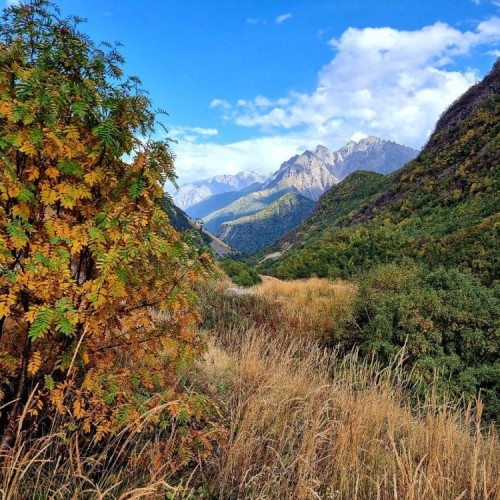 Налегке по Северной Осетии: прогулки по горам Дигории