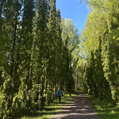 Из Казани — к Голубым озёрам, заповеднику и монастырю среди деревьев