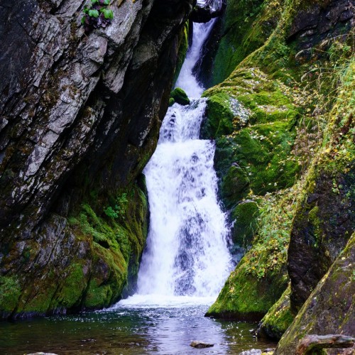 Топовые места Алтая в мини-группе: Гейзерное озеро, Чуйский тракт, долина Горных духов и Патмос