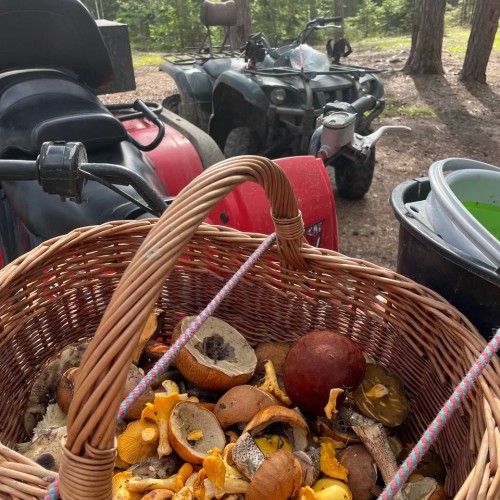 Перезагрузка в Приладожье с йогой, баней, сибирским чаном и сапами (всё включено)