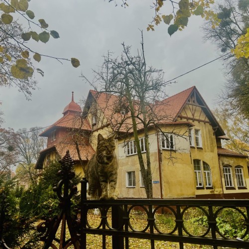 Загадки Амалиенау: экскурсия с элементами квеста