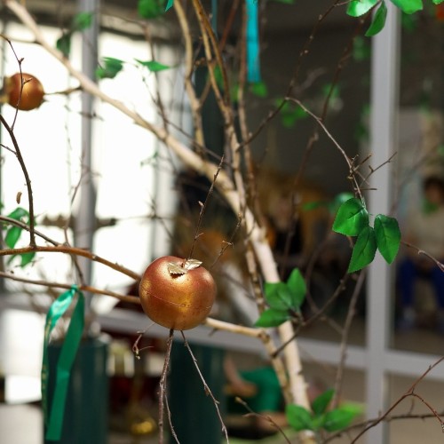 Прогулка по Абакану + этнический спа-ритуал «Ағазы Чазыда» («Степная яблоня»)