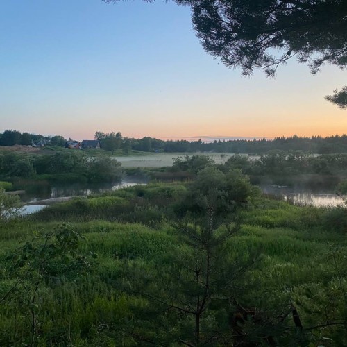 Очарование Медведицы: лёгкий сплав на байдарках (всё включено)