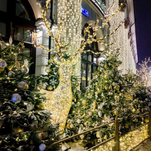 Столица в праздничном наряде: отпуск в Москве в канун Нового года