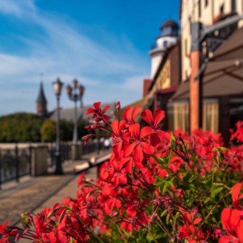 Индивидуальное путешествие с историком по Калининграду и области