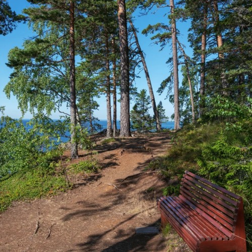 Аромат леса и сила воды: перезагрузка в Карелии с проживанием в глэмпинге