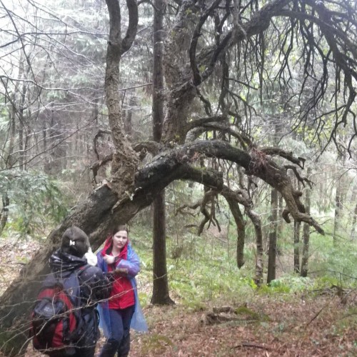 Большой тур по Сочи: природа, архитектура, история