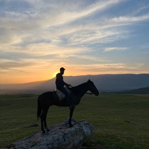 Галопом по Карачаево-Черкесии: конный выезд для опытных всадников