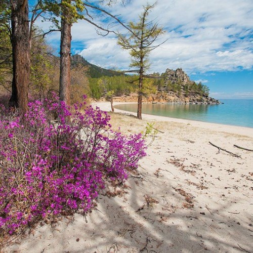 Краски Байкала: «Сибирский Париж», красоты Ольхона и цветение багульника