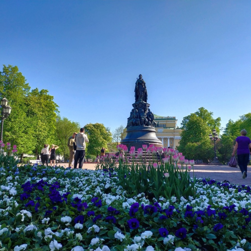 Мобильный квест «Бабуля на островах: в поисках сбежавших кошек»