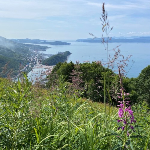 Камчатка в мини-группе: перевалы, бухты, сопки и купание в природных источниках