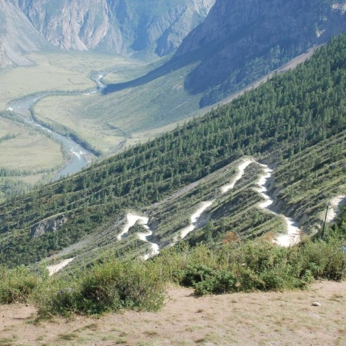 За пейзажами весеннего Алтая: цветение маральника