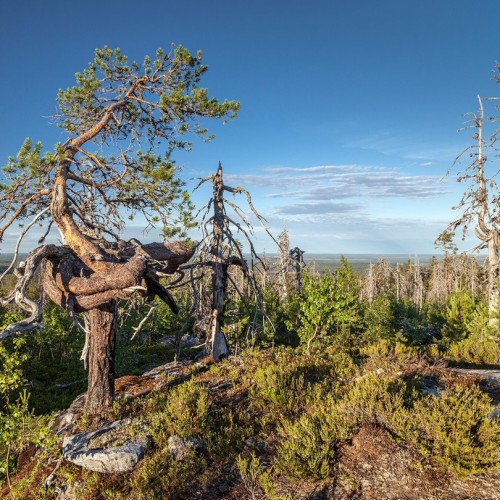 Из Петербурга к месту силы саамов — мистической Воттовааре