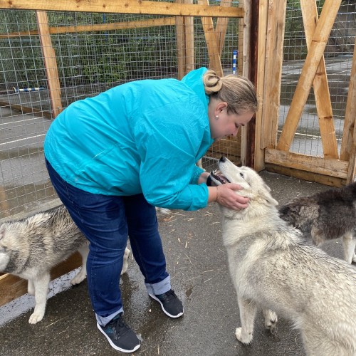 Приключения в Арктике в мини-группе: Териберка, Ловозеро, Хибины и Кировск с активностями