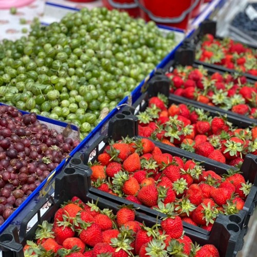 Копилка впечатлений: 5 республик Кавказа