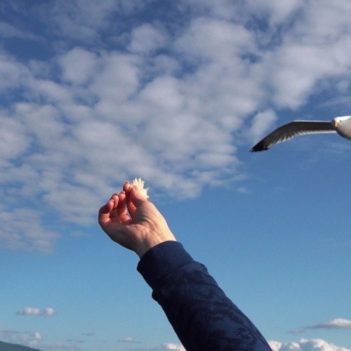 Путешествие на Дальний Восток: Сахалин и Кунашир