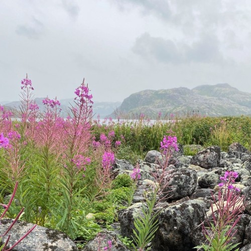 Вкусное путешествие на край света в мини-группе: Мурманск и Териберка