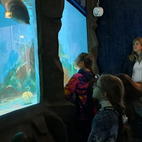 Кедровый аромат и лёгкость бытия: лучшие бани, спа-отель и винный вечер