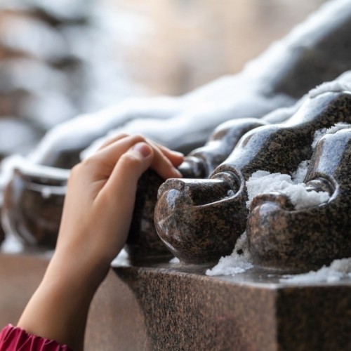 Ваш лучший Петербург!