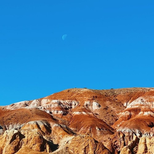 Алтайские выходные: от Чуйского тракта до Марса и Гейзерного озера