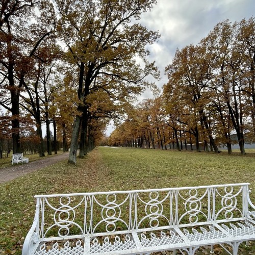 В Екатерининский и Александровский дворцы и парки (в группе)