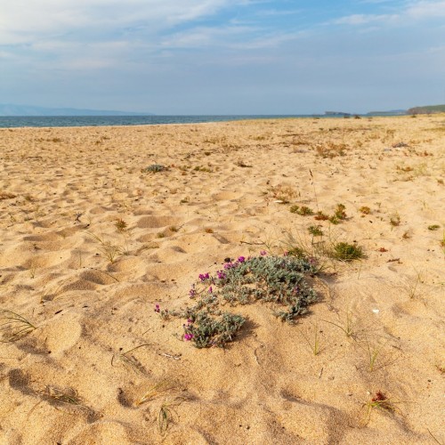 Всё, что вы хотели увидеть на Байкале в мини-группе: главные места и прогулка на катере