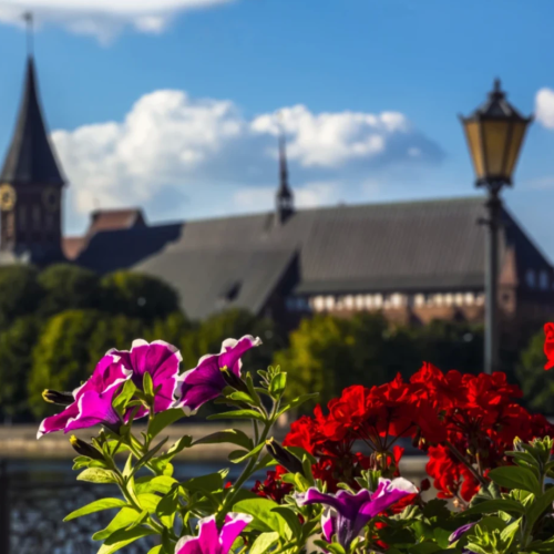Отпуск в Калининграде и Светлогорске с экскурсиями на выбор