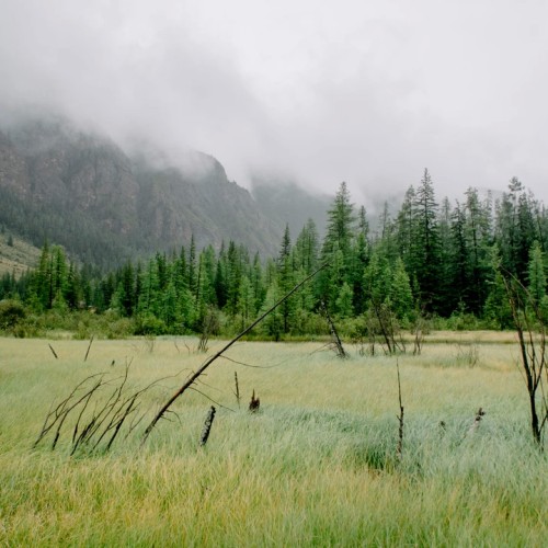 Топовые места Алтая в мини-группе: Гейзерное озеро, Чуйский тракт, долина Горных духов и Патмос