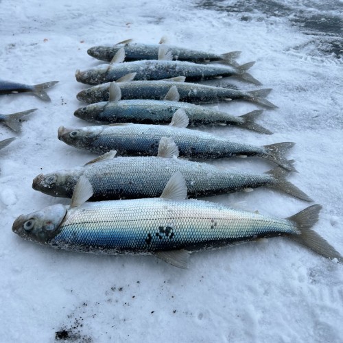 Зимняя рыбалка на льду Байкала своей компанией