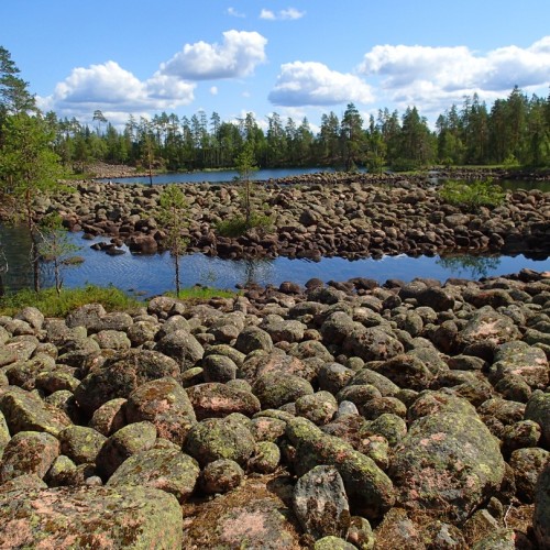 На «железном коне» по Карелии: велопрогулки по природным достопримечательностям