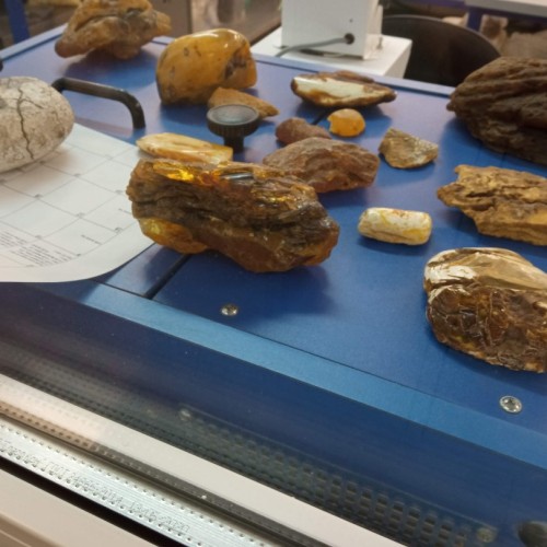 Встречай, янтарный край: индивидуальное путешествие по городам Калининградской области