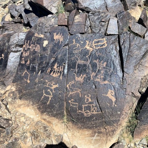 От пустыни до оазисов: большое путешествие по Монголии и Улан-Удэ