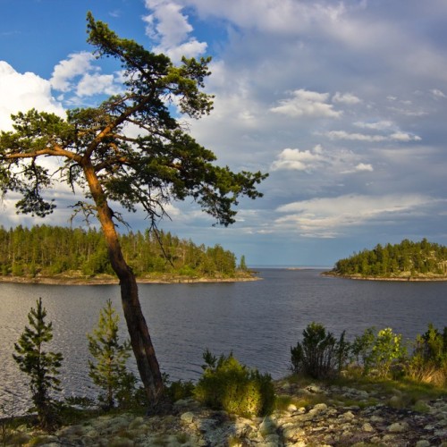 На природу! Прогулки по Карелии с проживанием в глэмпинге
