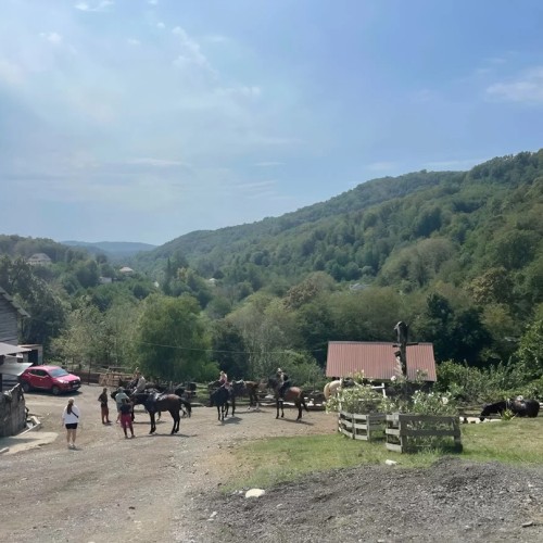 На лошадях по предгорьям Сочи: прогулки для новичков и опытных всадников