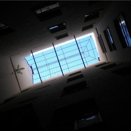 Прогулка со Смертью по Васильевскому острову