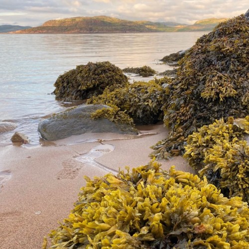 Большое приключение на Кольском в мини-группе: Териберка, корабли и красоты Арктики