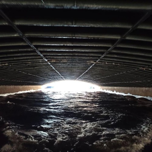 В Питере — плыть!