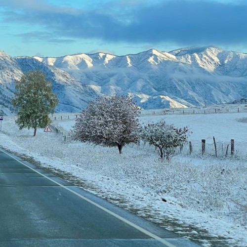 И уносит меня, и уносит меня в звенящий снежный Алтай (мини-группа)