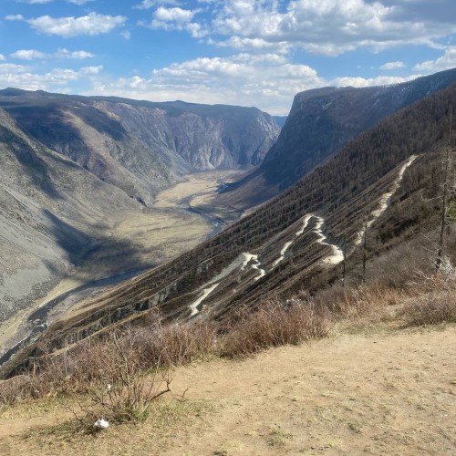 Сиреневые горы, Алтай и май: главные места во время цветения маральника в мини-группе (всё включено)