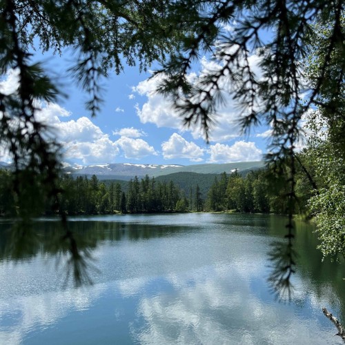 Главное на Чуйском тракте с отдыхом на базе и релаксом в баньке. Всё включено
